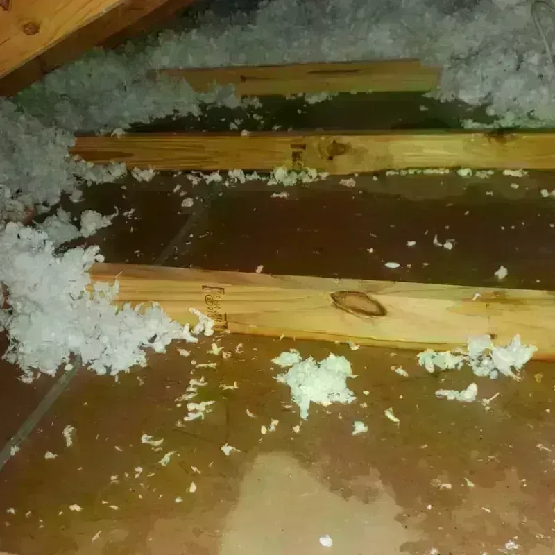 Attic Water Damage in Dade County, GA