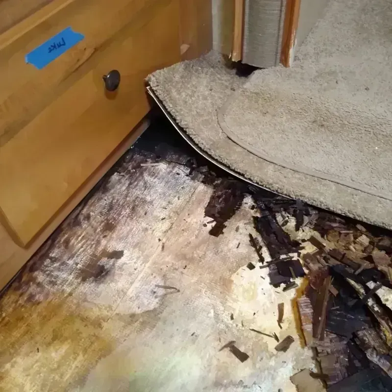 Best Wood Floor Water Damage Service in Dade County, GA